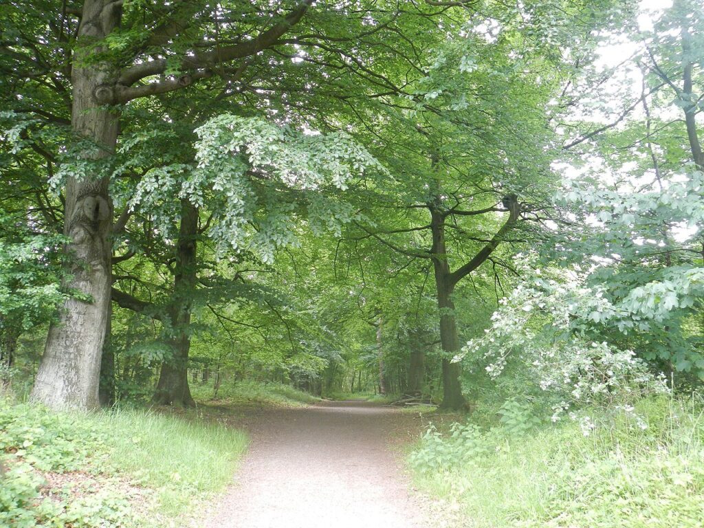 Wandelen door het oude dorp Huizen en bezoek aan de imker in Huizen