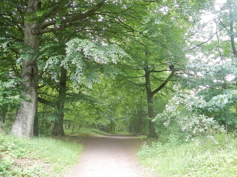 Excursie Monnikenberg — natuur in Huizen